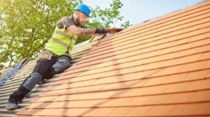 Best Skylight Installation and Repair  in Skidway Lake, MI